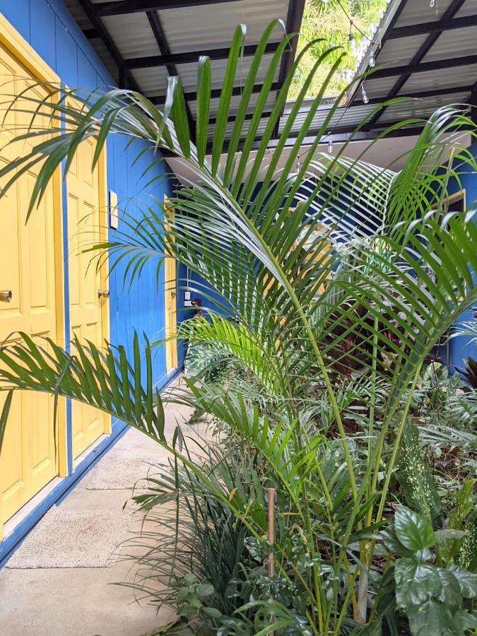 ליברייה Guesthouse Congo Tempisque מראה חיצוני תמונה